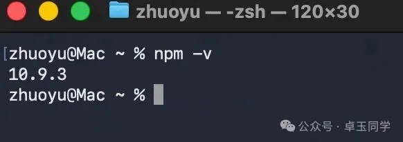 验证npm版本