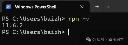 Windows验证npm