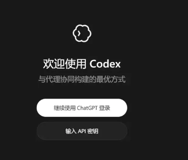 04-Codex登录页.png